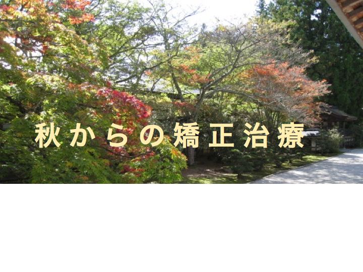 秋からの矯正治療1.jpg